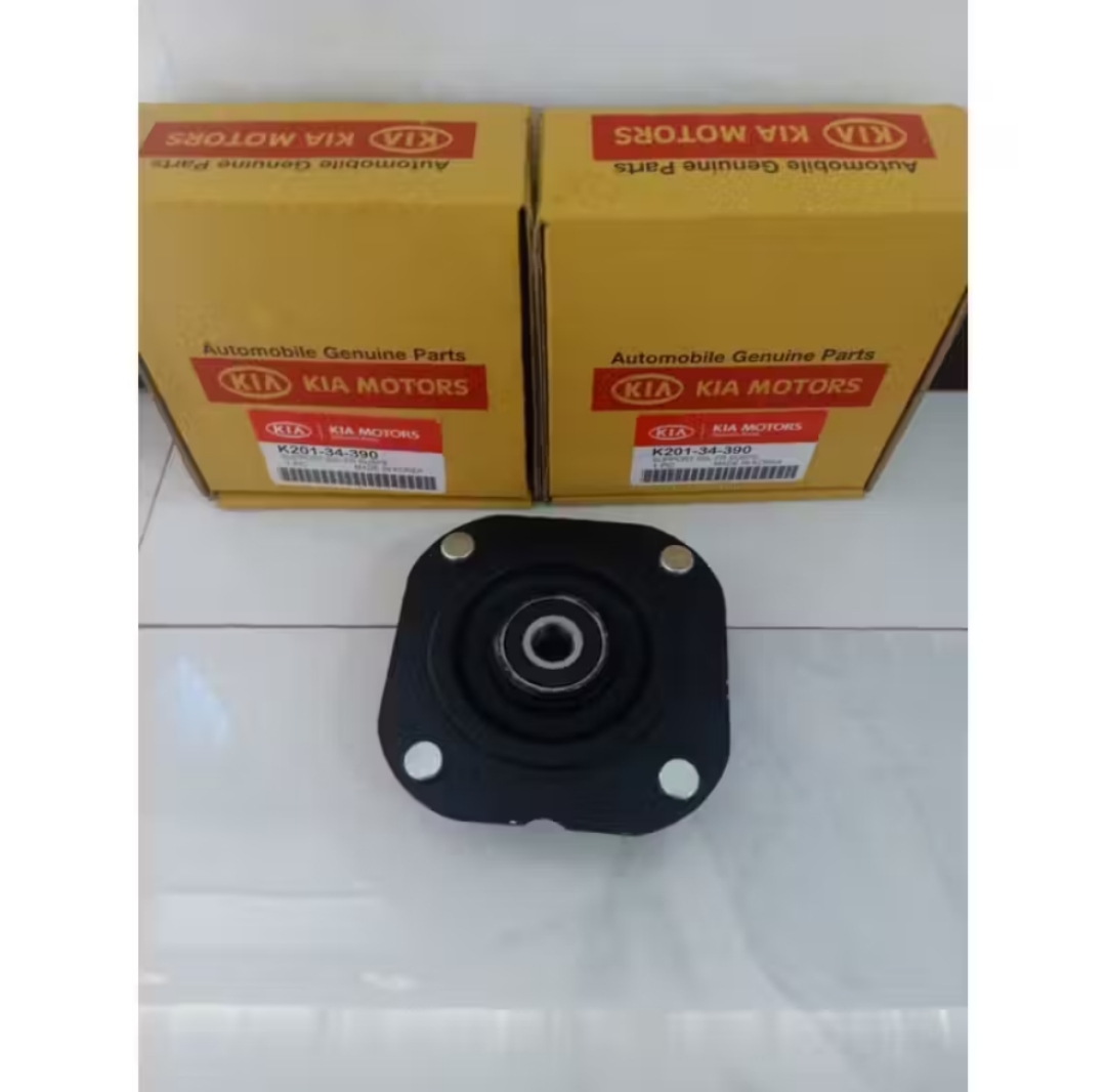 support shock depan timor